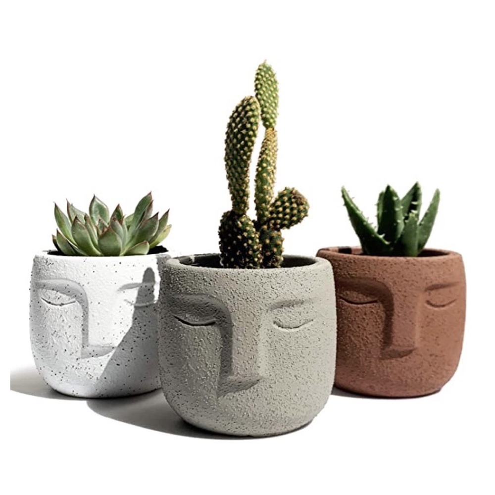 Set of 3 Boho Abstract Face Succulent Planters - Picture 1 of 7